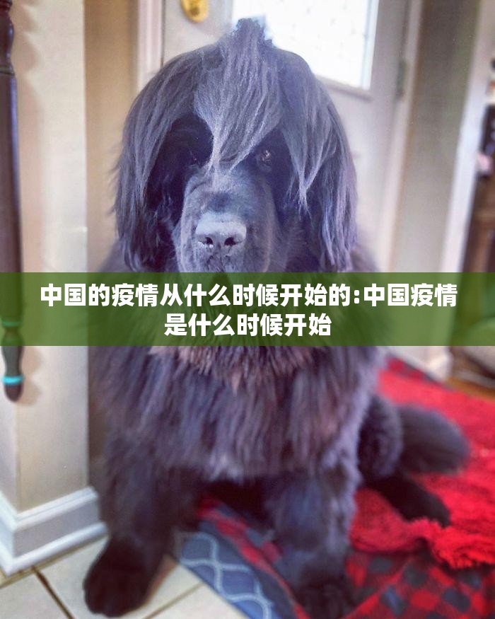 中国的疫情从什么时候开始的:中国疫情是什么时候开始