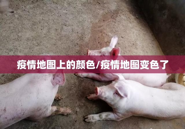 疫情地图上的颜色/疫情地图变色了