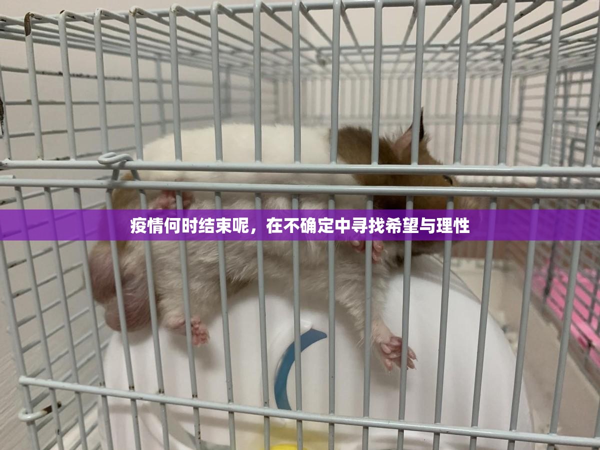 重磅.来袭“相约麻将辅助透视软件”分享真的有挂给你