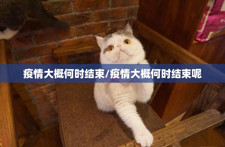 重大通报“浙衢麻将怎么玩提高胜率”原来可以开挂