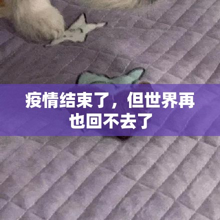 推荐一款“粤友圈真的确实有挂!”(真的有挂)-知乎 推荐一款“粤友圈真的确实有挂!”(真的有挂)-知乎