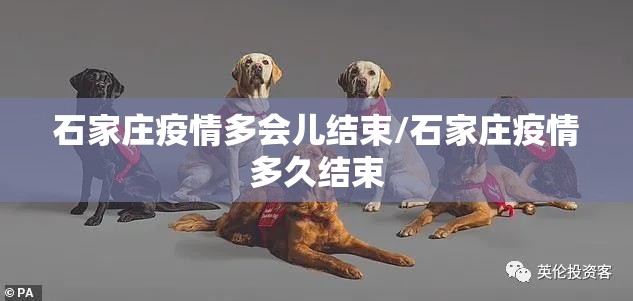 分享实测胜弈填大坑开挂在哪里买呢真的确实有挂 分享实测胜弈填大坑开挂在哪里买呢真的确实有挂