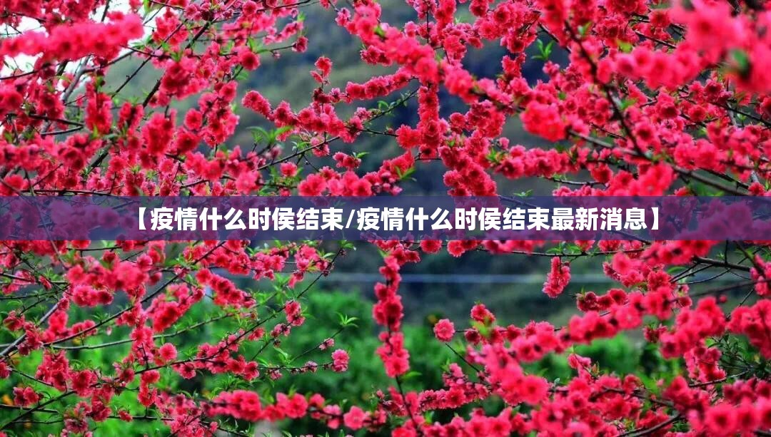 重磅.来袭微乐四川麻将有挂没有其实是有挂√必胜开挂神器