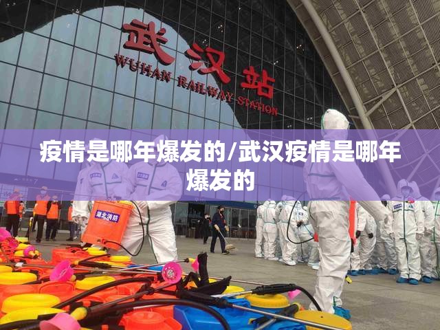 疫情是哪年爆发的/武汉疫情是哪年爆发的