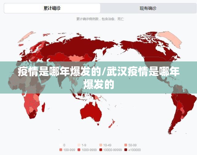 疫情是哪年爆发的/武汉疫情是哪年爆发的