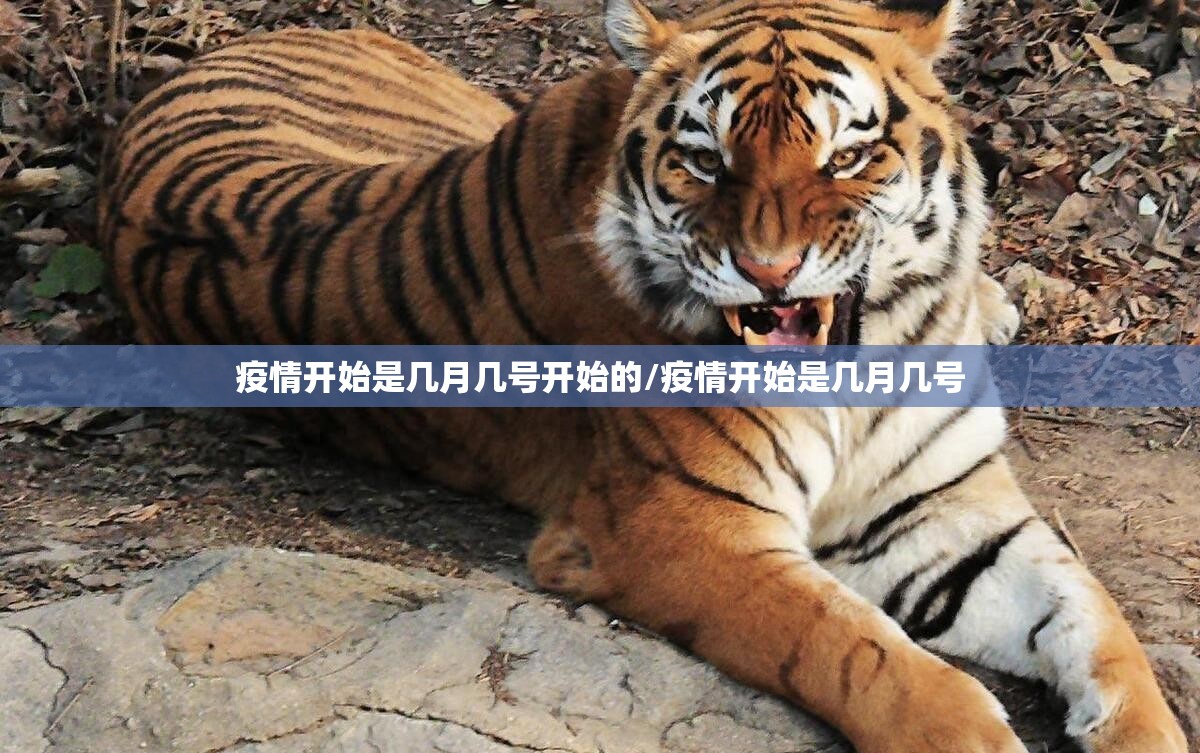 推荐一款财神V5.0天天微友有挂稳赢方法(原来确实是有挂)
