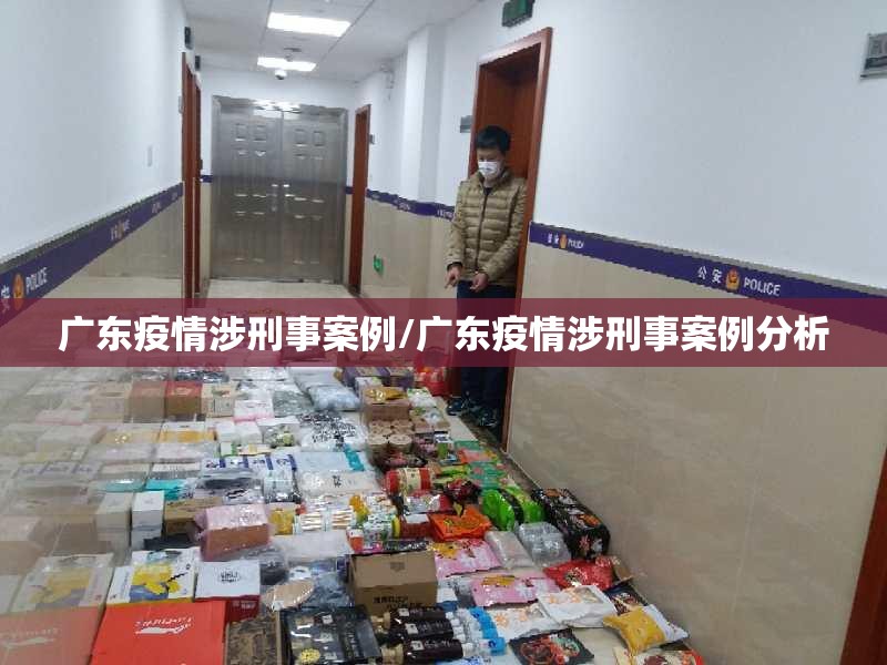 广东疫情涉刑事案例/广东疫情涉刑事案例分析