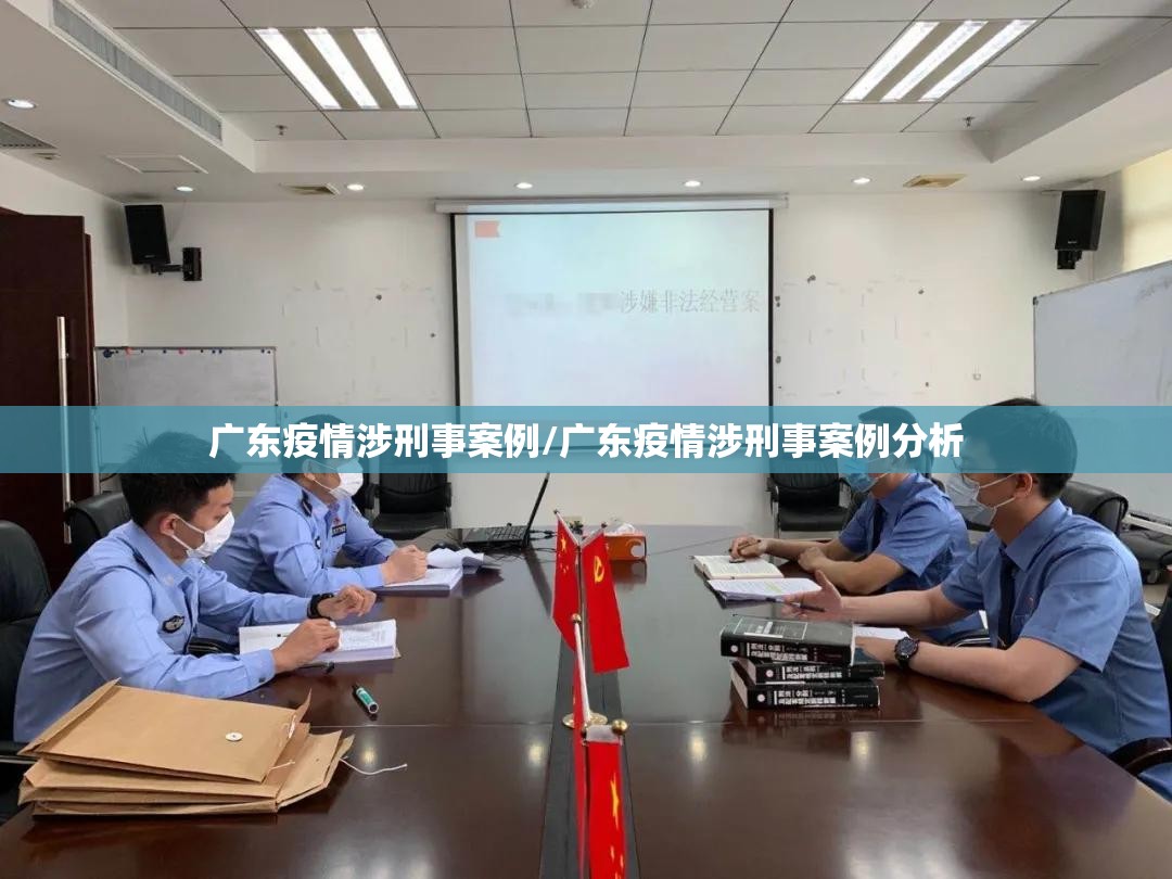 广东疫情涉刑事案例/广东疫情涉刑事案例分析