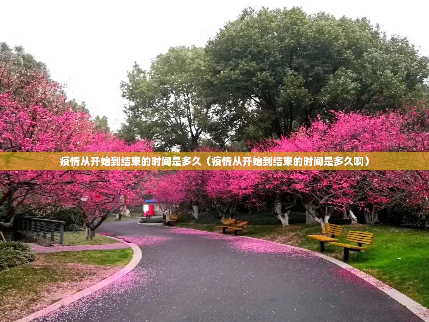 分享实测旺旺闽南麻将必赢软件真的确实有挂
