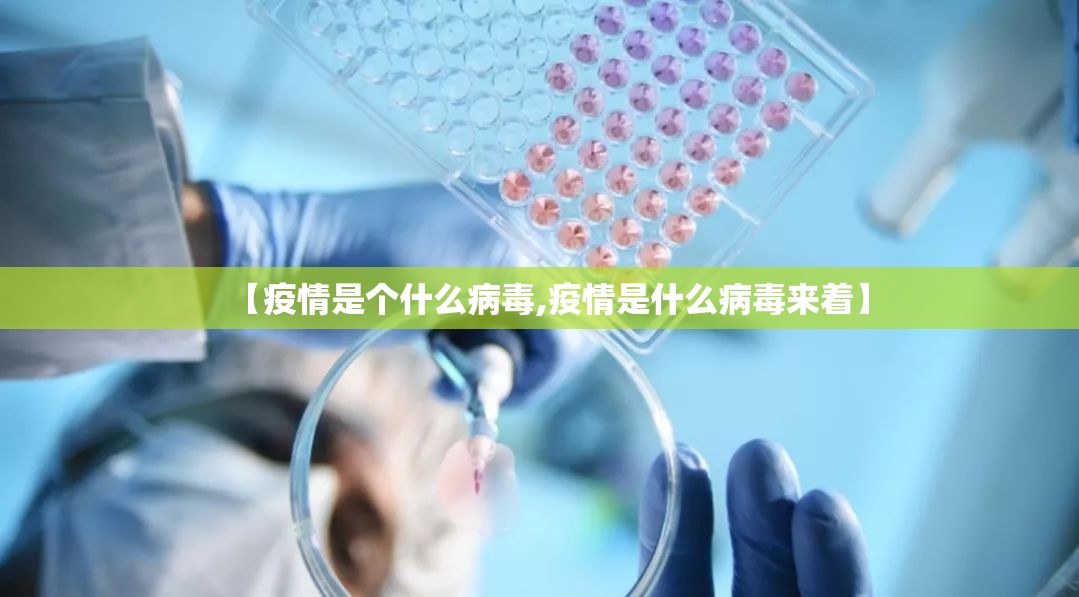 推荐一款聚贤有挂没开挂神器