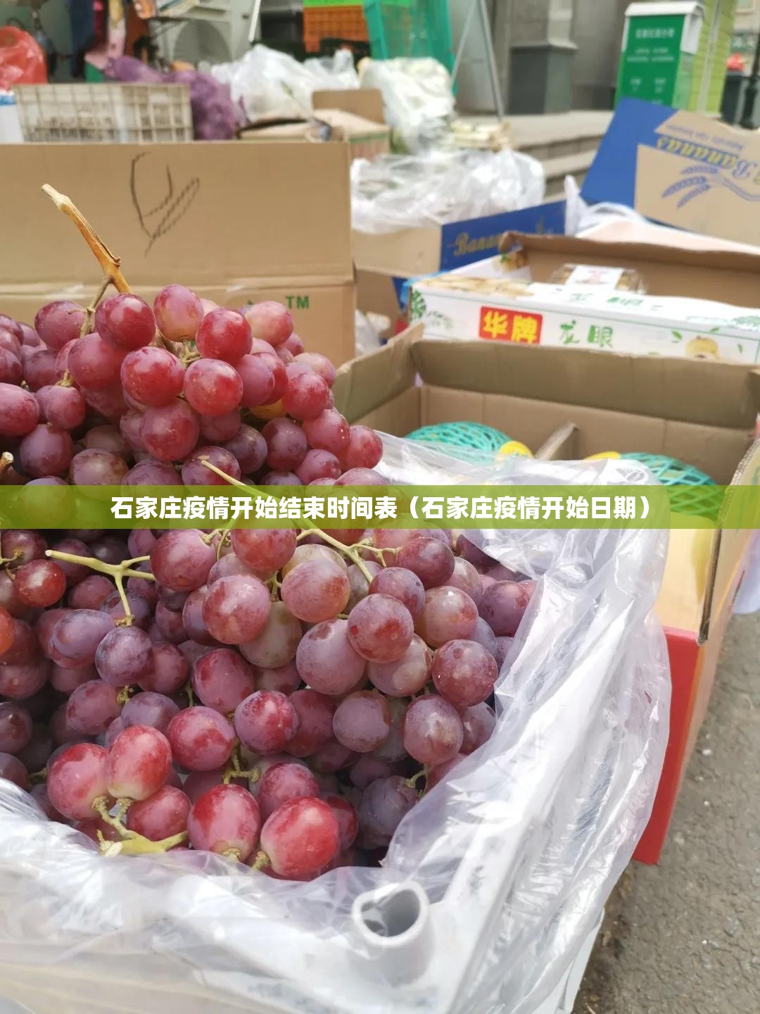 推荐一款锋火互娱真的有挂吗√必胜开挂神器 推荐一款锋火互娱真的有挂吗√必胜开挂神器