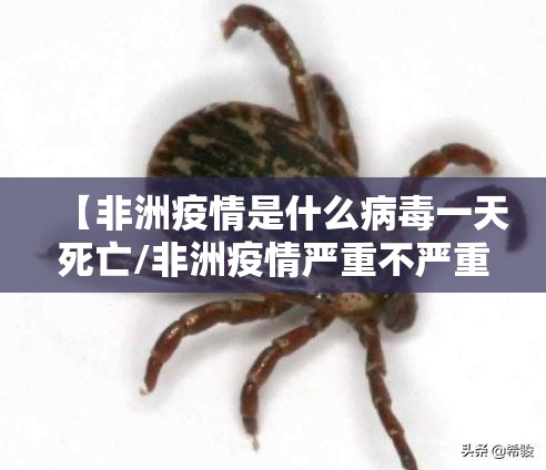 上海疫情 南京(上海疫情南京支援) 上海疫情 南京(上海疫情南京支援)