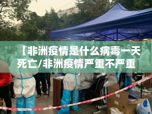 浙江疫情石家庄/浙江疫情石家庄最新消息