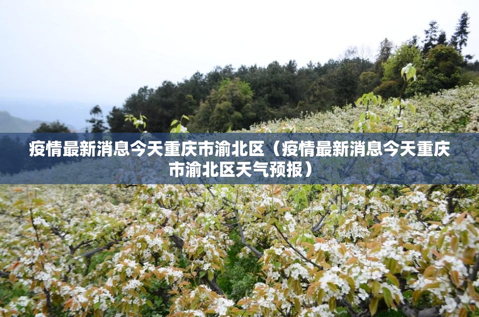 推荐一款微乐二七王有透视挂吗确实真的有挂 推荐一款微乐二七王有透视挂吗确实真的有挂