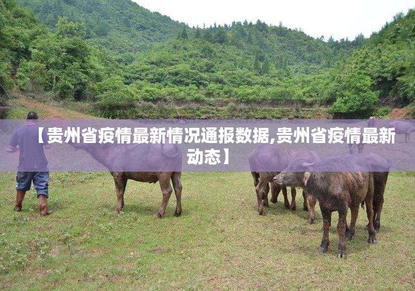 推荐一款“竞咪21点可以装挂吗”√太坑了原来有挂 推荐一款“竞咪21点可以装挂吗”√太坑了原来有挂