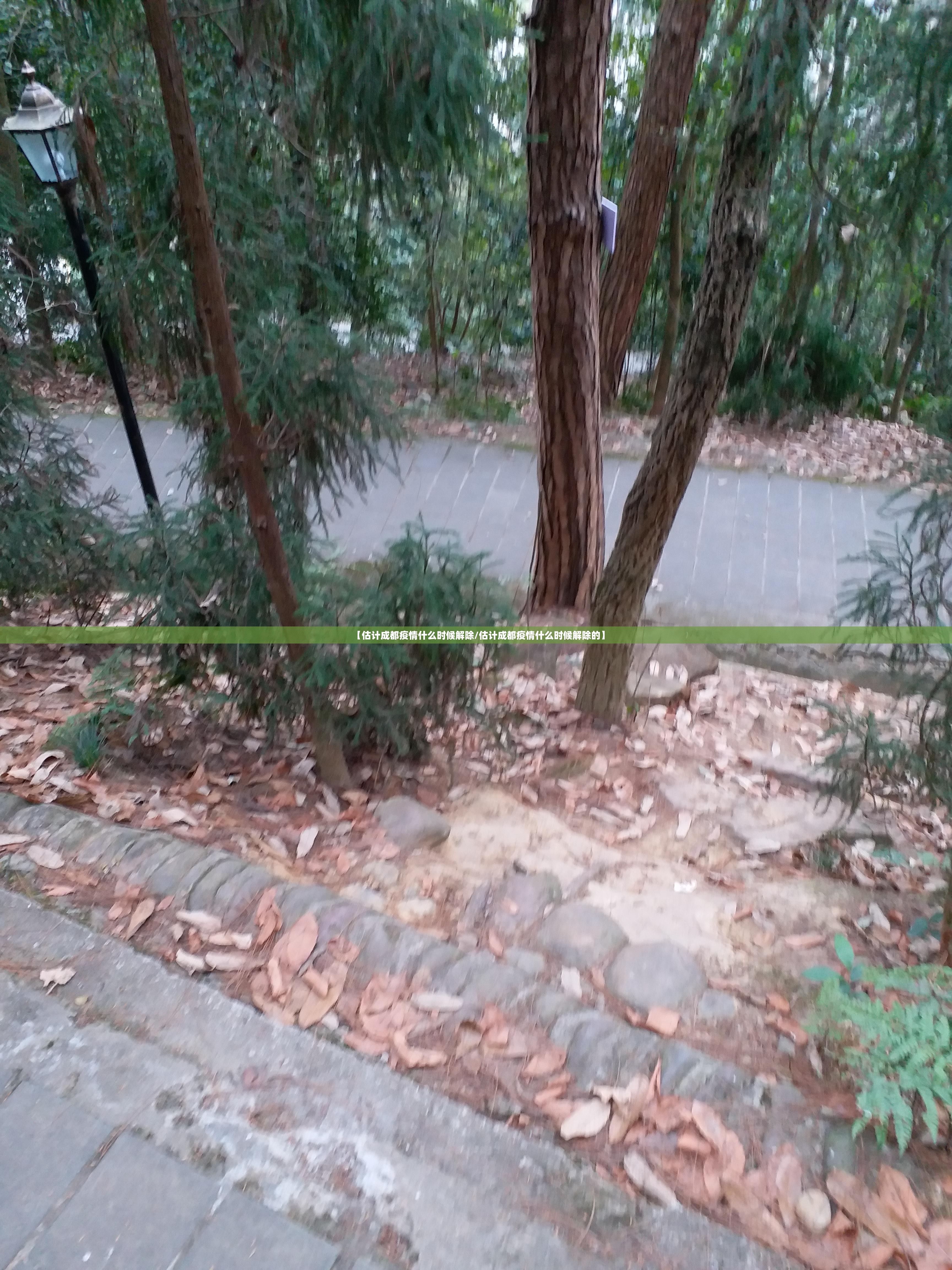 推荐一款微乐捉老麻子究竟有挂吗√必胜开挂神器