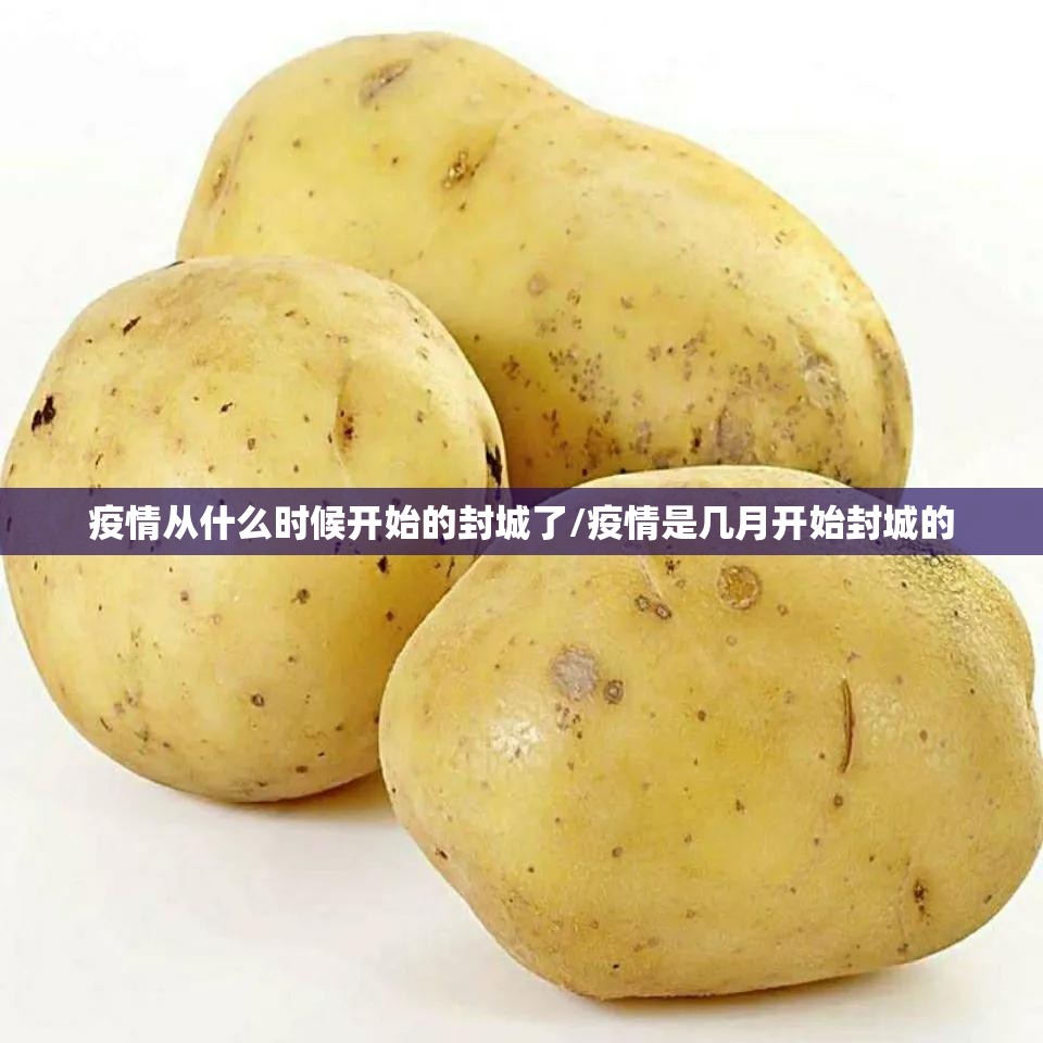 灾难中的中国，从武汉疫情到郑州暴雨的坚韧与反思