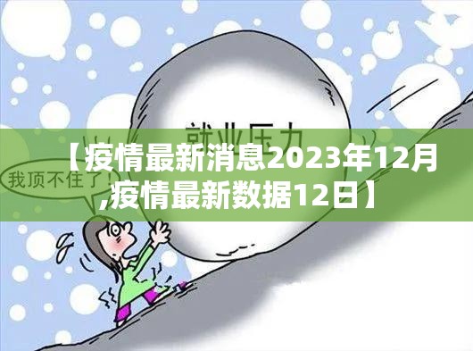 重磅.来袭丰城双剑确实有挂吗!分享真的有挂给你