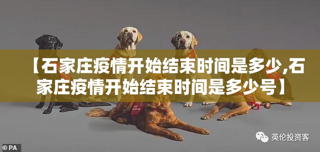 分享实测中至麻将开挂辅助软件其实确实有挂 分享实测中至麻将开挂辅助软件其实确实有挂