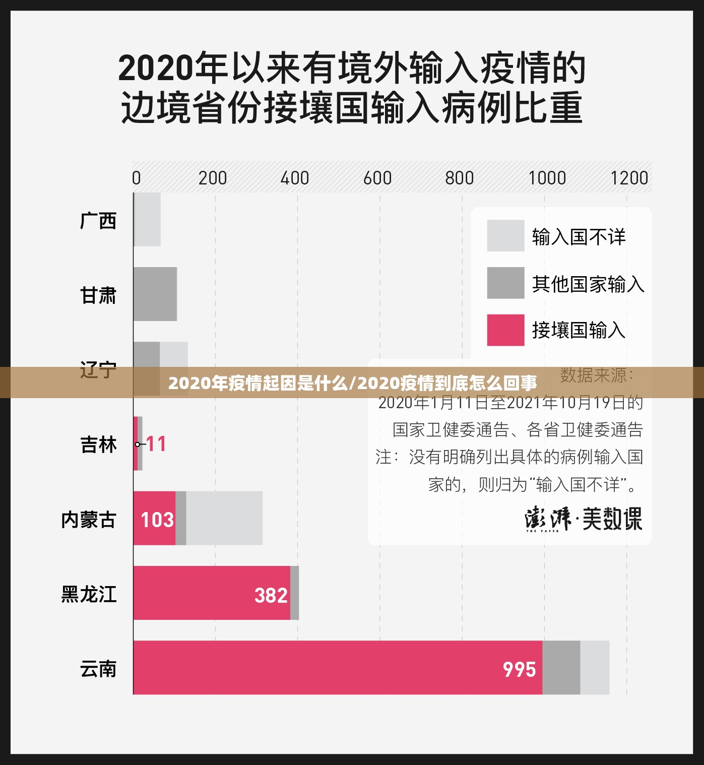 2020年疫情起因是什么/2020疫情到底怎么回事