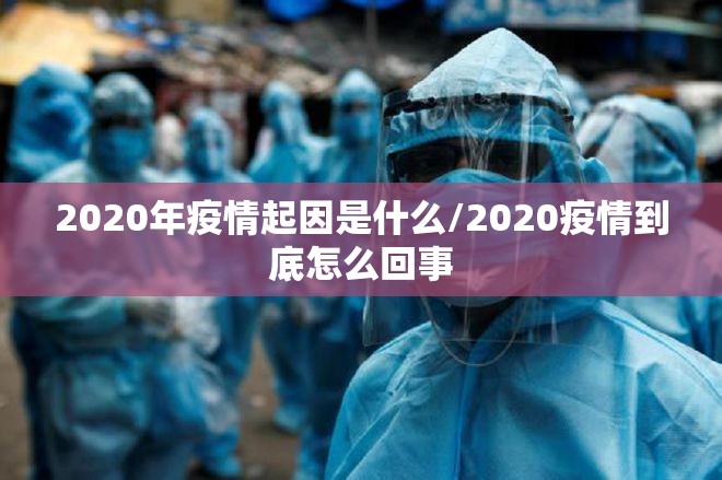 2020年疫情起因是什么/2020疫情到底怎么回事