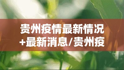 今日重大通报微乐广西麻将有没有挂!√曝光透视猫腻