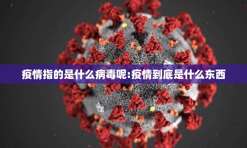 分享实测方片十三张开挂软件方法(原来确实是有挂)