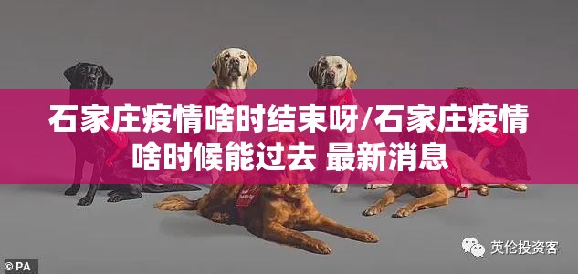 重磅.来袭“ 蘑菇云开挂教程步骤”(确实有挂)