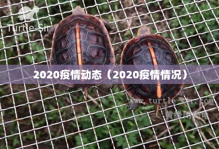 分享实测中至吉安王炸究竟有没有挂!实测确实有挂 分享实测中至吉安王炸究竟有没有挂!实测确实有挂