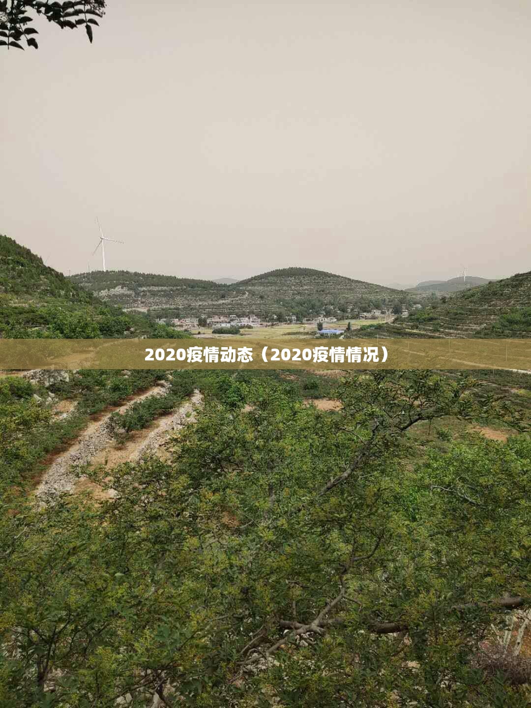 今日重大通报川麻圈开挂辅助!详细开挂教程√其实是有挂 今日重大通报川麻圈开挂辅助!详细开挂教程√其实是有挂