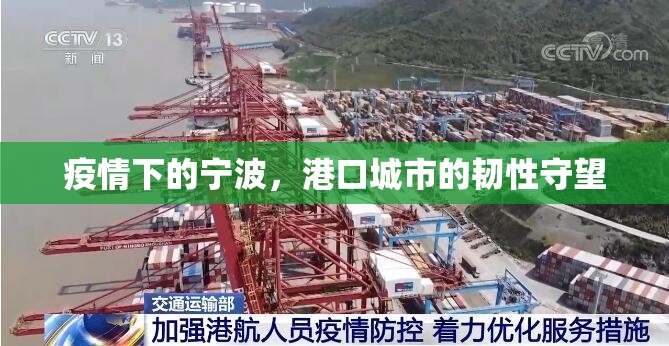 今日重大通报“浙衢麻将有没有挂,其实有挂”其实有挂-知乎