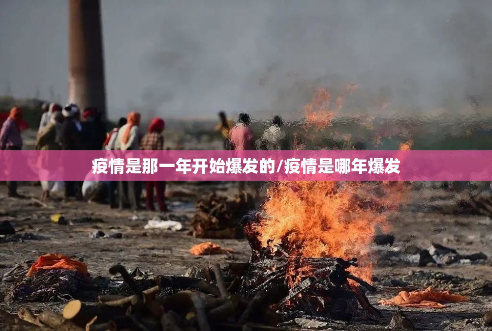 疫情是那一年开始爆发的/疫情是哪年爆发