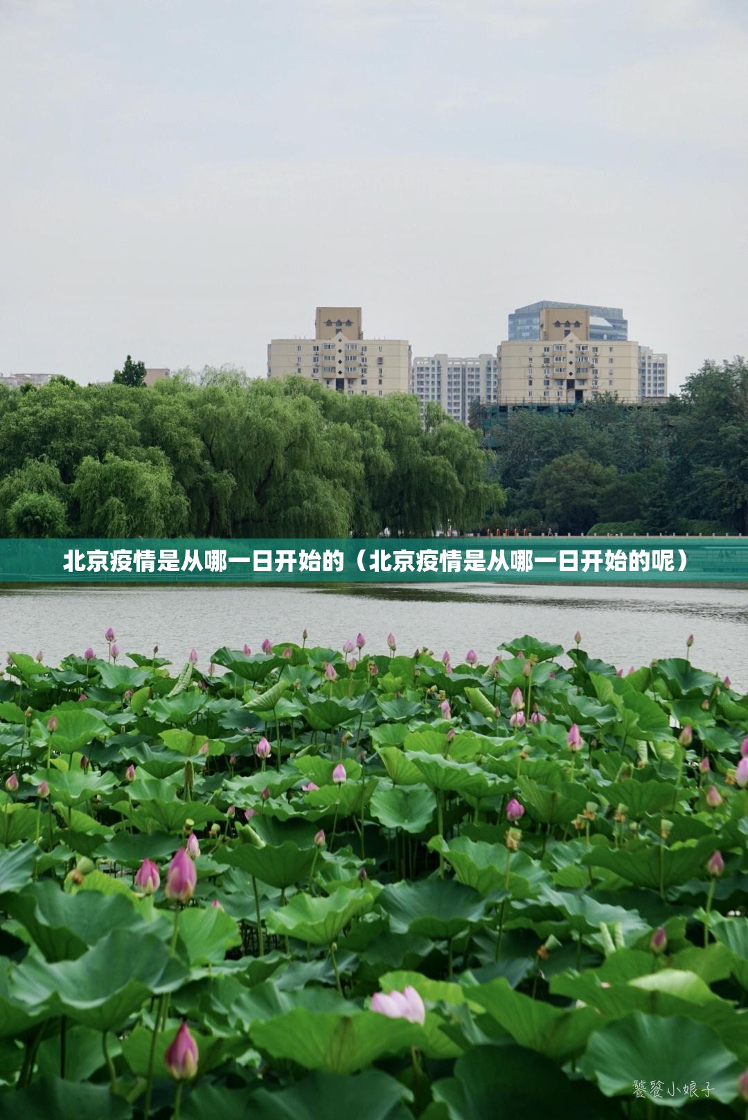 重磅.来袭胜弈填大坑究竟有挂吗原来可以开挂