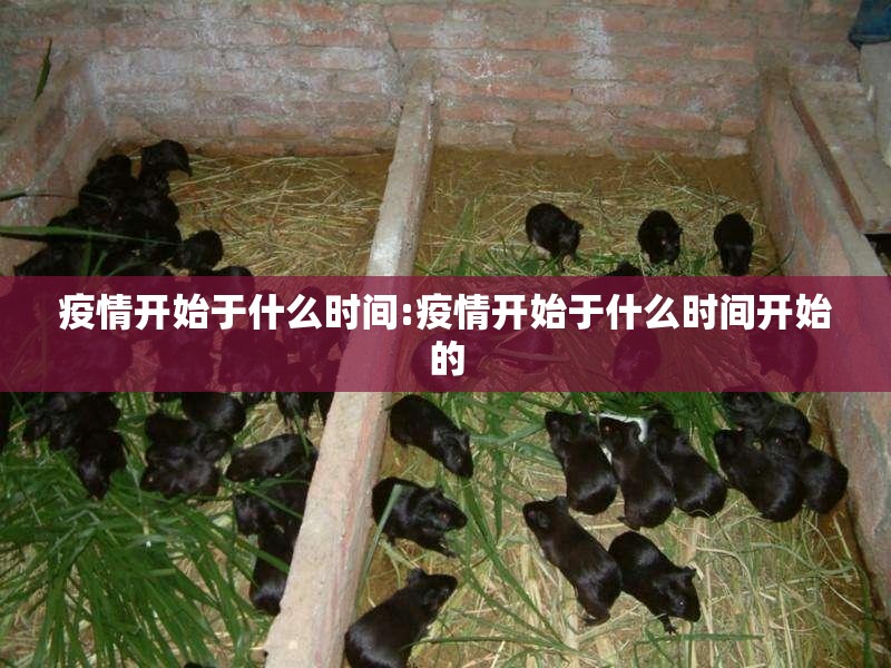 重磅.来袭新永和有没有透视挂(其实真的能开挂)