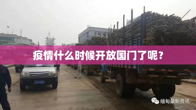 重磅.来袭忆游八张清到底有没有挂装!其实是有挂实测确实有挂