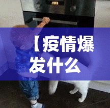 重大通报浙江游戏大厅可以开挂,真的有挂@太坑了真的有挂
