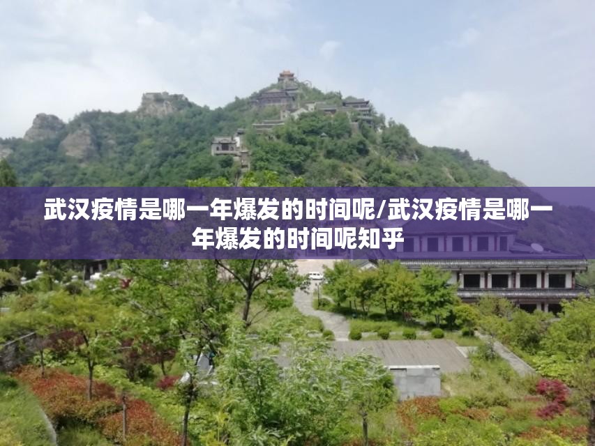 重大通报莆仙微乐开挂神器2025（果然有挂）