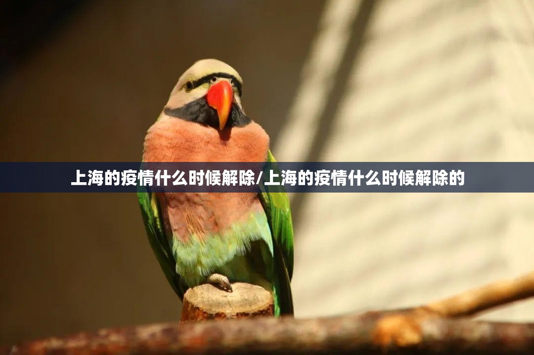 重大通报微乐捉老麻子到底有挂吗√曝光透视猫腻