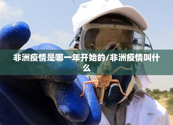 分享实测四海互娱能不能开挂其实确实有挂