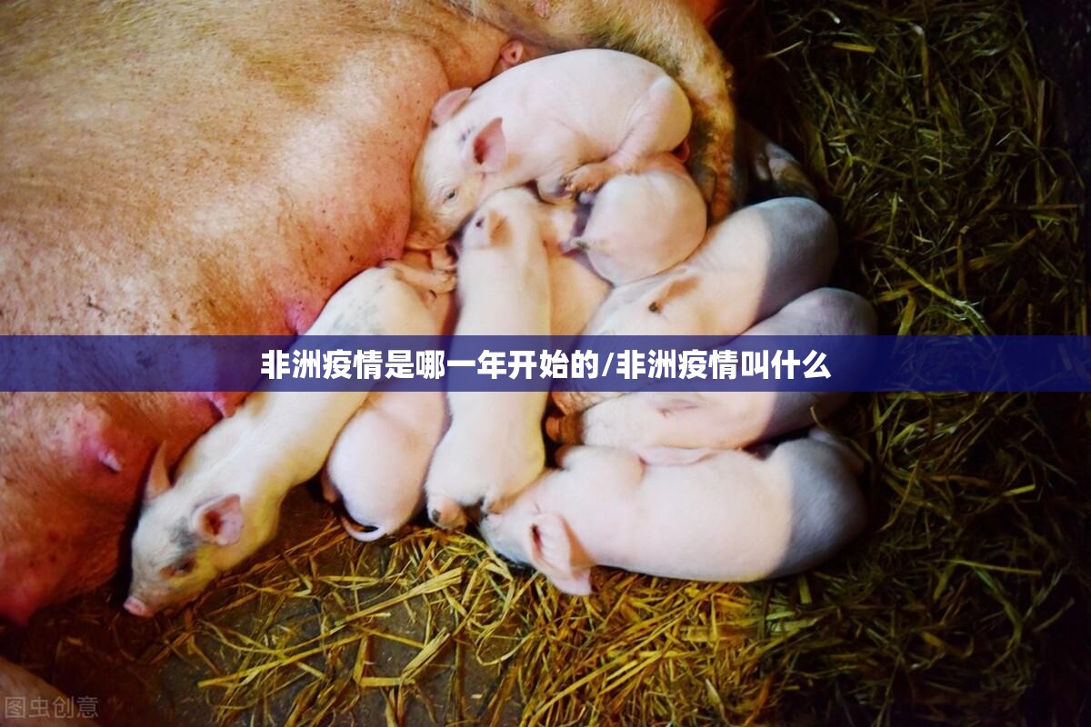 重磅.来袭永胜联盟到底有没有挂确实真的有挂 重磅.来袭永胜联盟到底有没有挂确实真的有挂