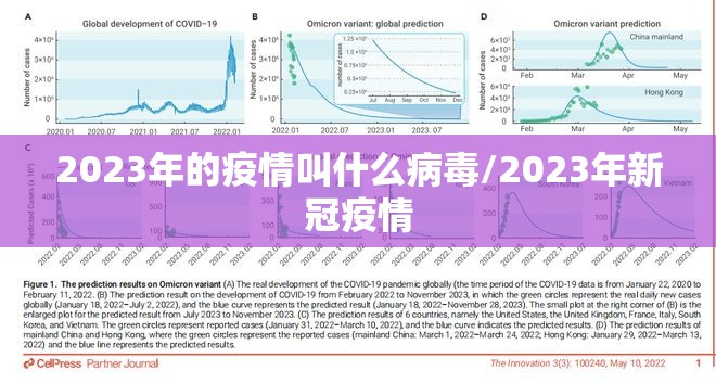 2023年的疫情叫什么病毒/2023年新冠疫情