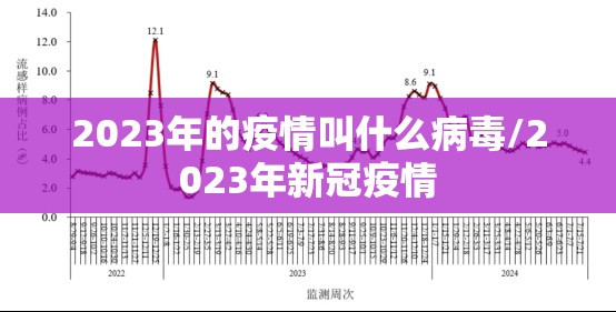 2023年的疫情叫什么病毒/2023年新冠疫情