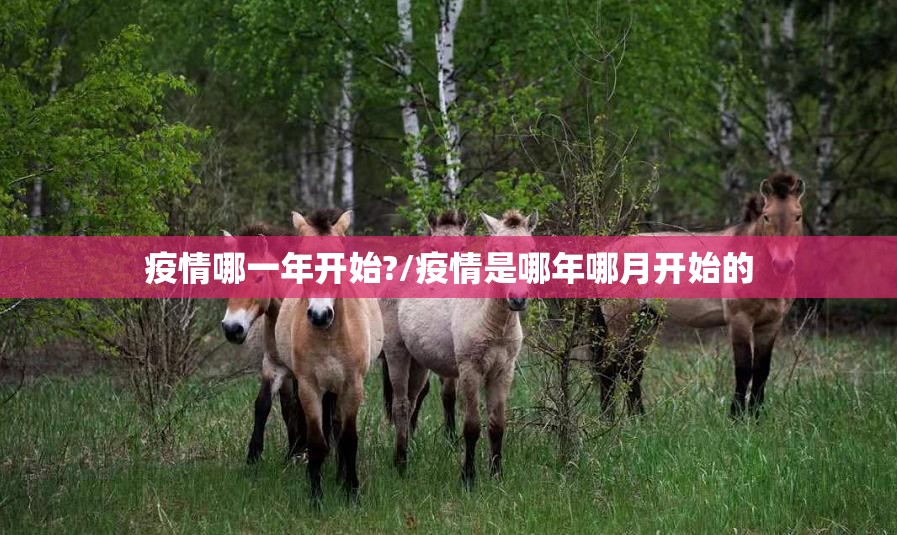 重磅.来袭北极星真的有挂吗确实有挂√曝光透视猫腻 重磅.来袭北极星真的有挂吗确实有挂√曝光透视猫腻