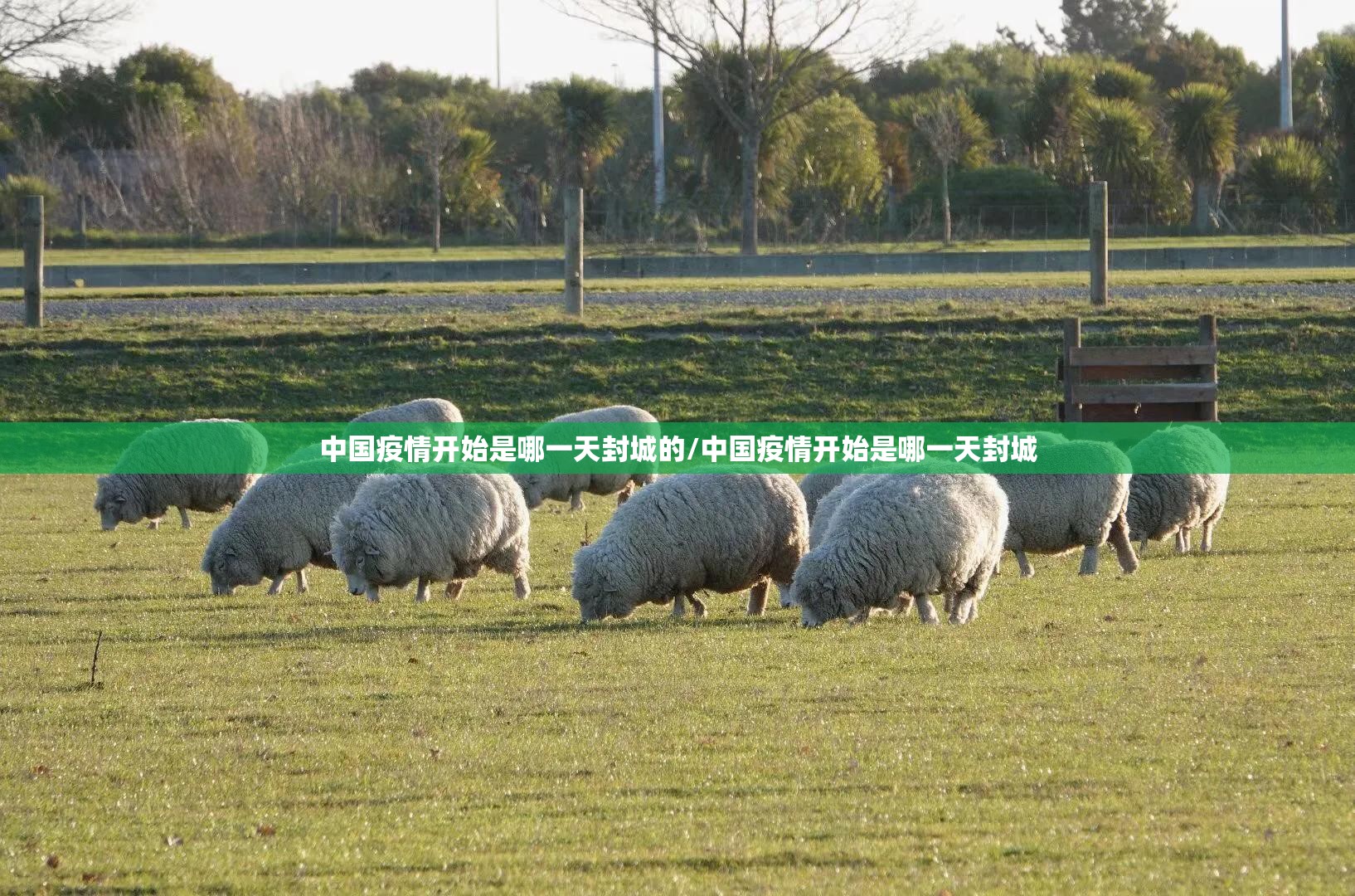 重大通报“一起宁德麻将是不是可以开挂”√太坑了原来有挂 重大通报“一起宁德麻将是不是可以开挂”√太坑了原来有挂