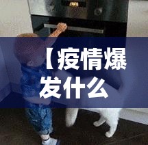 今日重大通报八戒金花开挂方法详细开挂教程果然有挂
