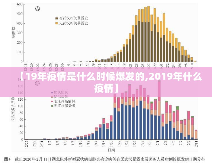 【19年疫情是什么时候爆发的,2019年什么疫情】
