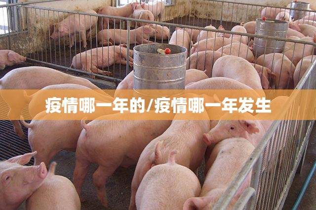 疫情哪一年的/疫情哪一年发生