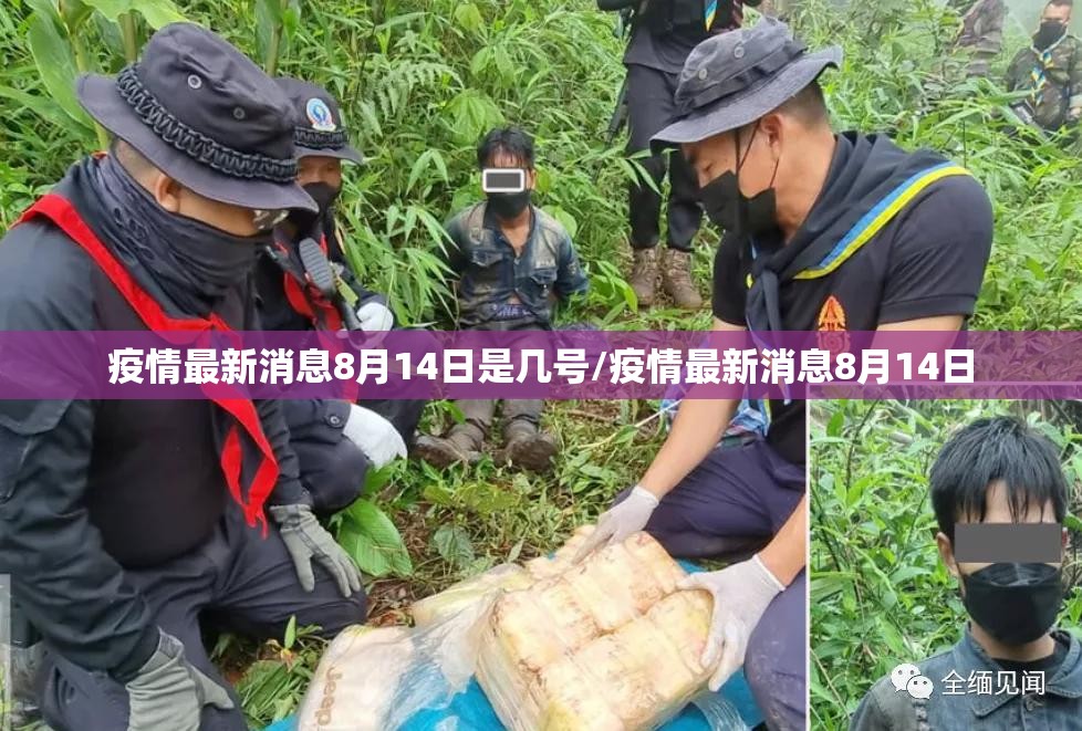 重磅.来袭盛世2有没有挂,其实有挂其实真的确实有挂