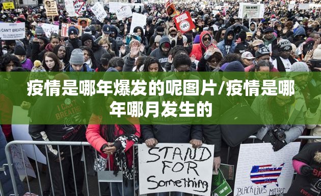 重磅.来袭中至窝龙的确真的有挂其实真的确实有挂