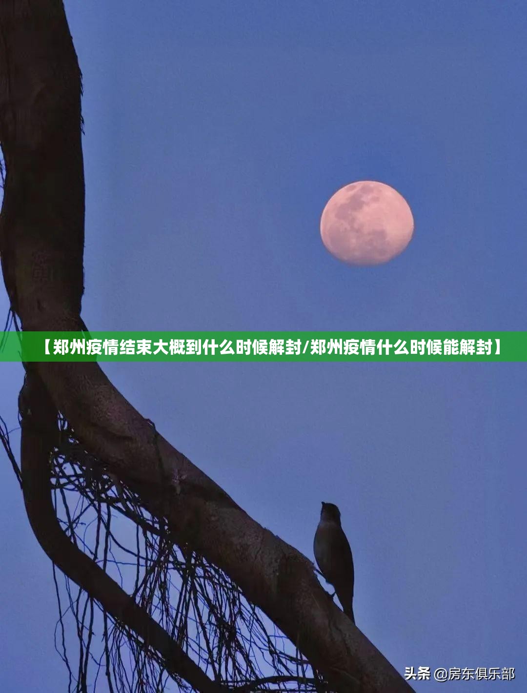 今日重大通报“微乐云南麻将到底有挂吗!”√必胜开挂神器 今日重大通报“微乐云南麻将到底有挂吗!”√必胜开挂神器